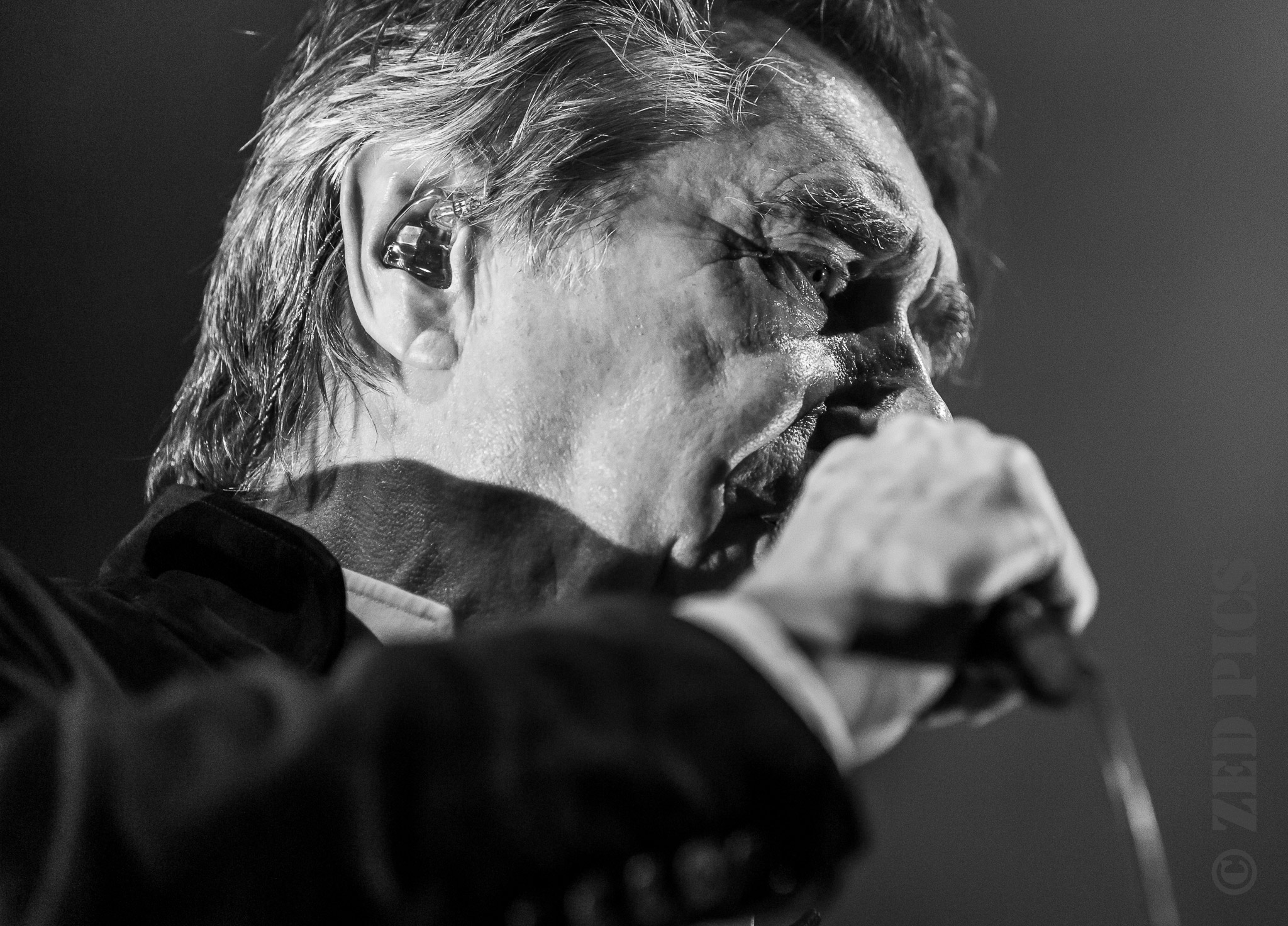 Concert Review Bryan Ferry, Auckland New Zealand, 2019