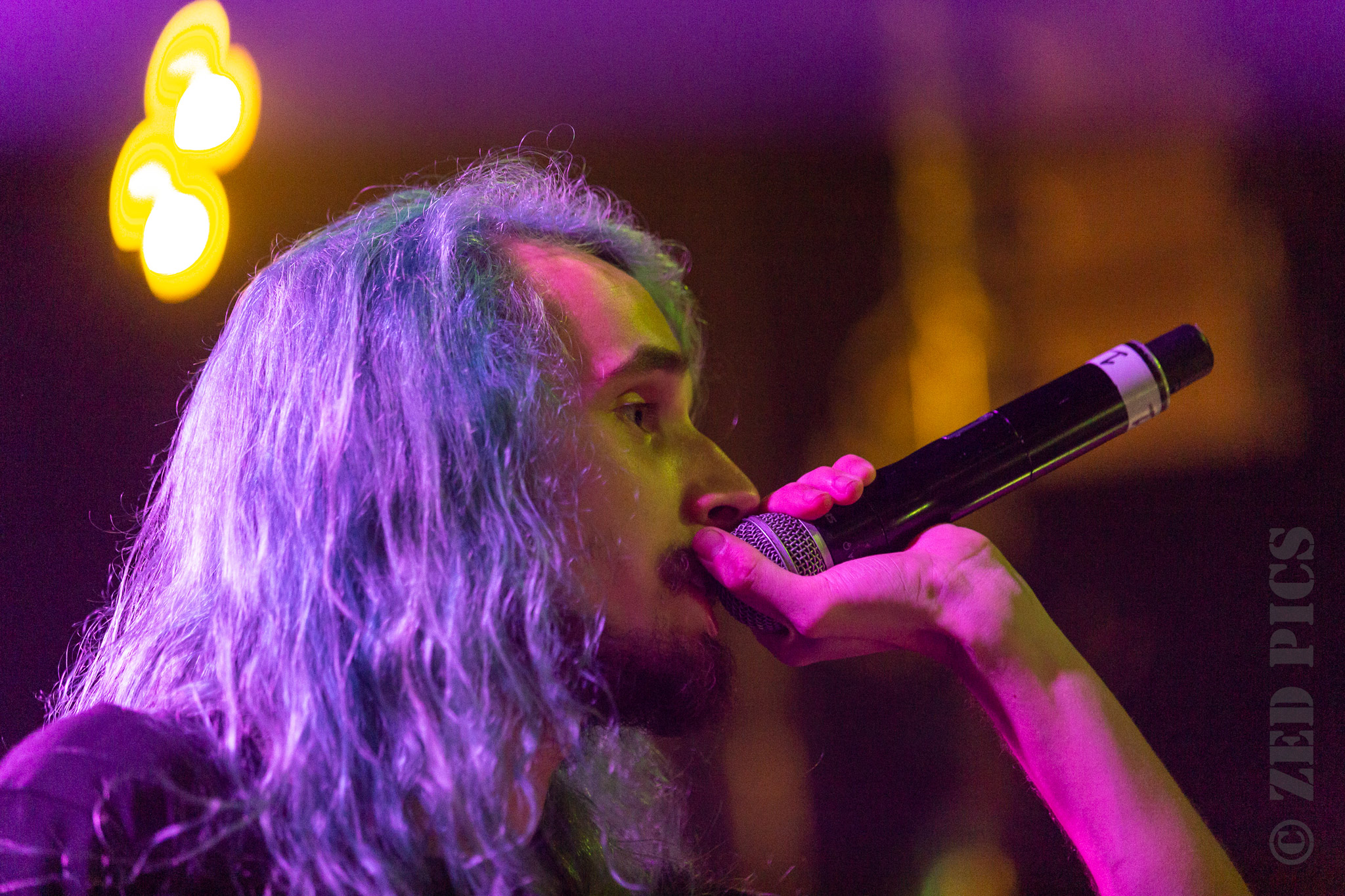 Concert Review Pouya, Auckland New Zealand, 2019